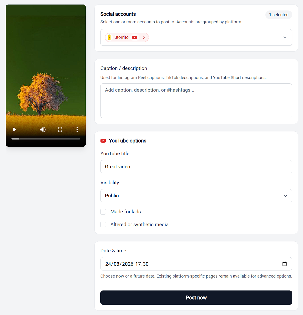 The YouTube options card, with the title, visibility, and labeling checkboxes