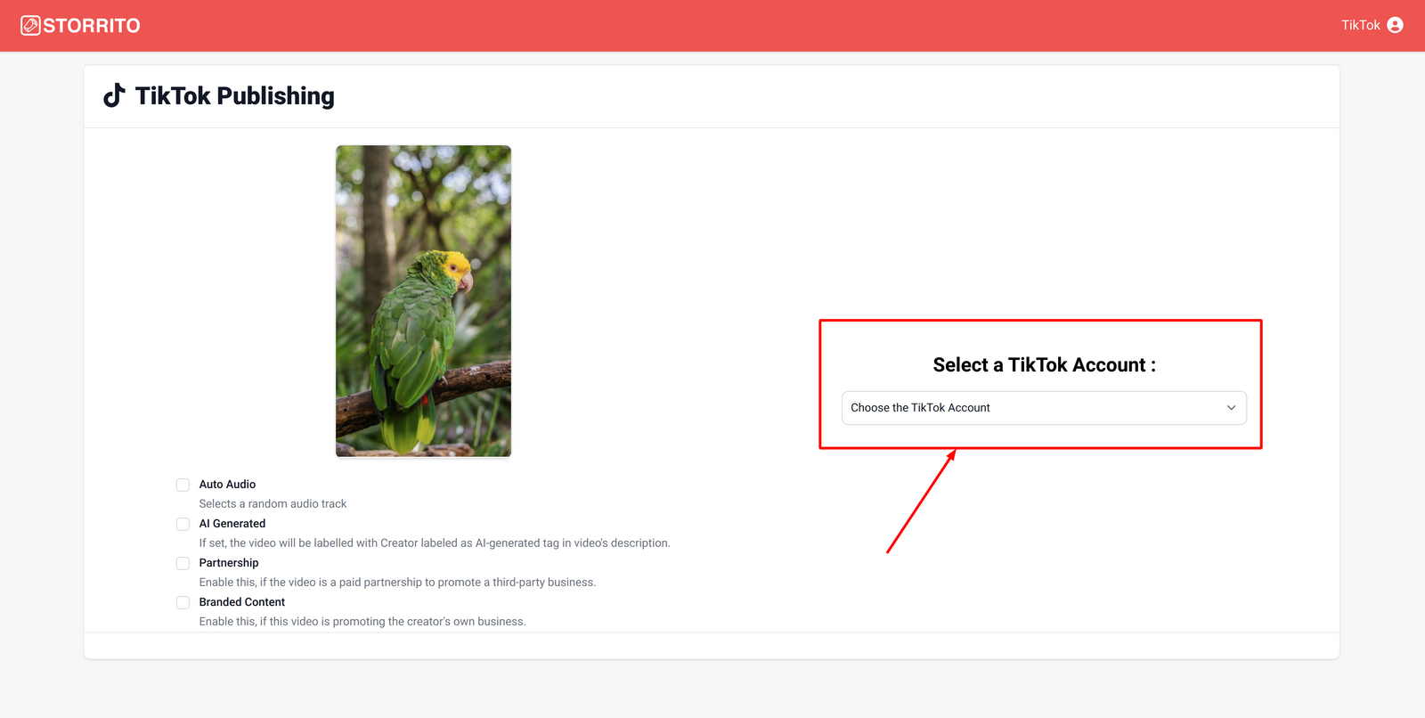 Select TikTok Account